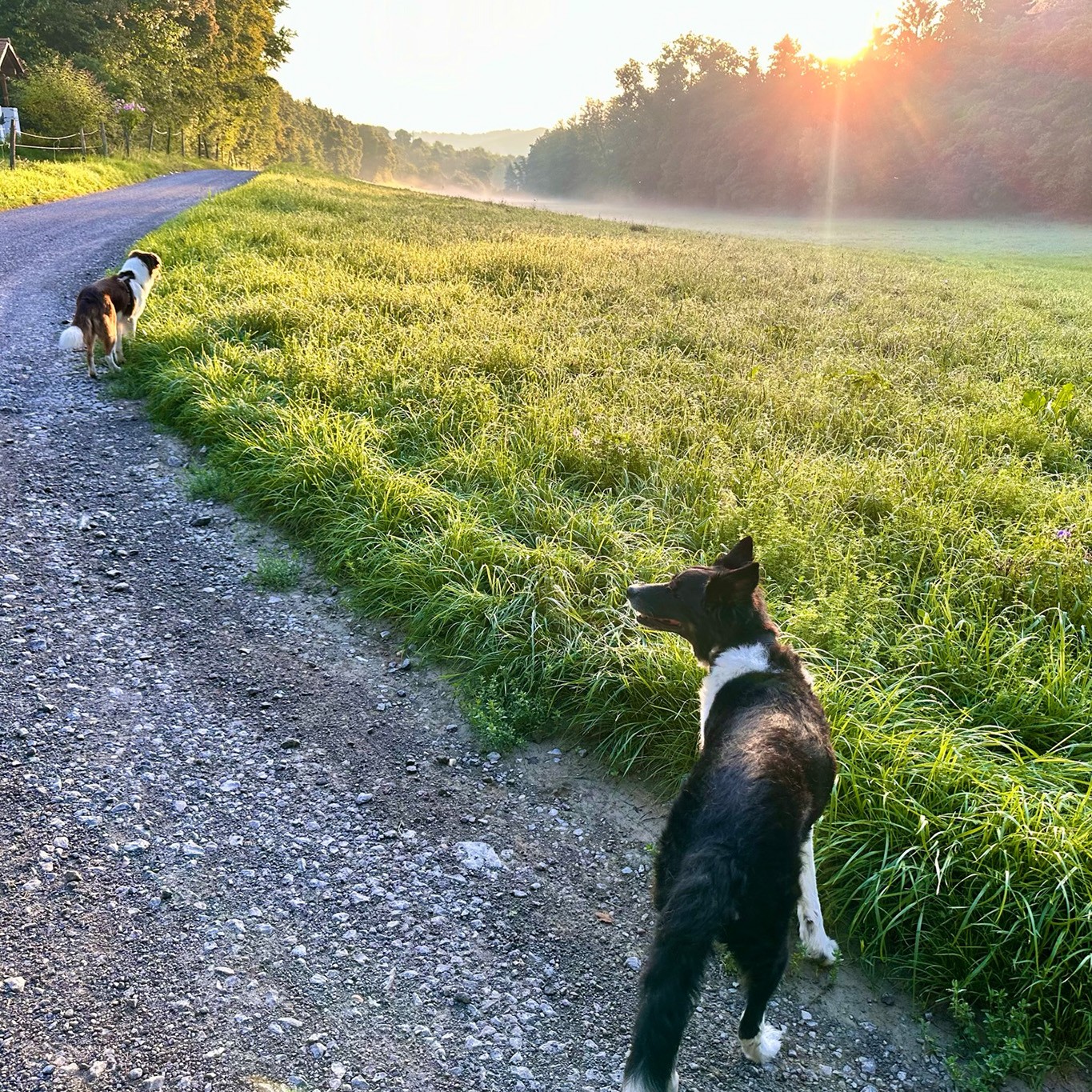 Was ist wichtiger - der Weg oder das Ziel?